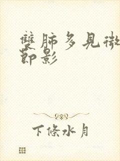 双肺多见微小结节影