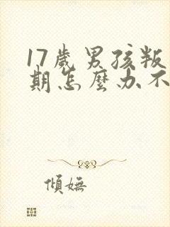 17岁男孩叛逆期怎么办不上学了