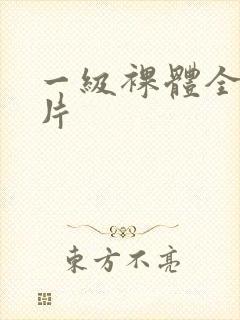 一级裸体全黄裸片