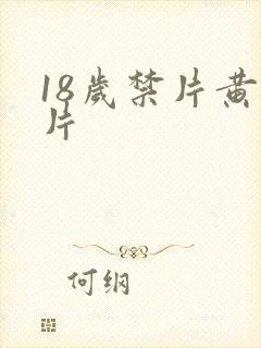 18岁禁片黄色片封面
