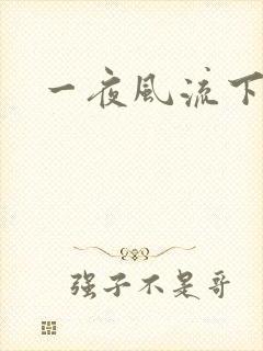一夜风流下载