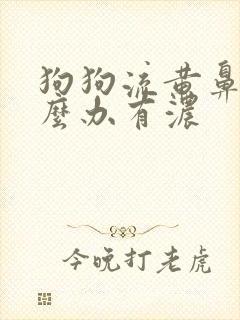 狗狗流黄鼻涕怎么办有浓