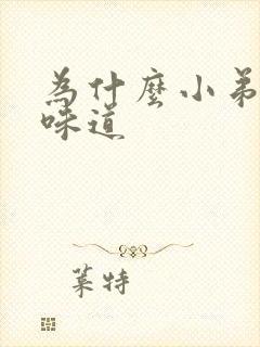 为什么小弟弟有味道封面