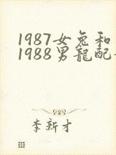 1987女兔和1988男龙配婚姻好不好