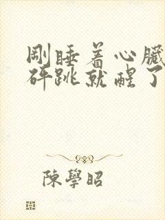 刚睡着心脏就砰砰跳就醒了封面