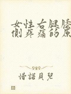 女性右腿膝盖内侧疼痛的原因