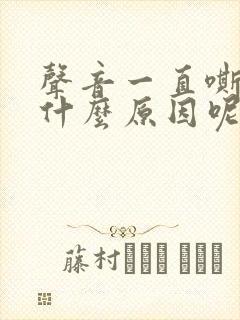 声音一直嘶哑是什么原因呢封面