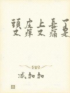 头皮上长了疙瘩又痒又痛是怎么回事封面