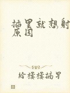 插里就想射什么原因