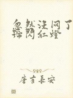 忽然没网了光信号闪红灯