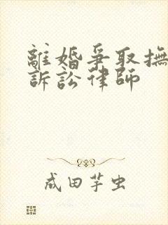 离婚争取抚养权诉讼律师