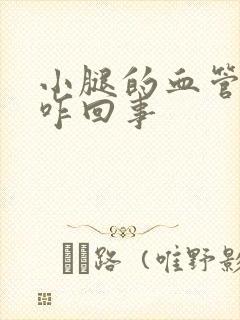 小腿的血管鼓起咋回事封面