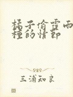 橘子偷霍雨浩的种的情节封面