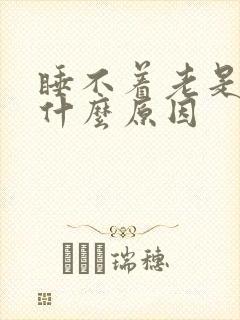 睡不着老是醒是什么原因