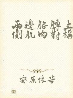 两边胳膊上臂外侧肌肉对称疼