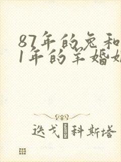 87年的兔和91年的羊婚姻如何封面
