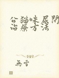 公猫咪尿闭最佳治疗方法