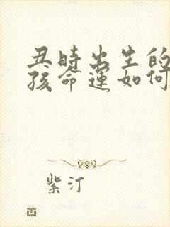 丑时出生的虎男孩命运如何