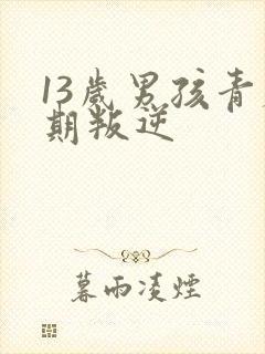 13岁男孩青春期叛逆