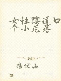 女性阴道口上有个小疙瘩