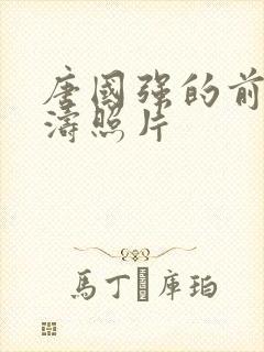 唐国强的前妻孙涛照片