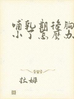 哺乳期后胸部变小了怎么办