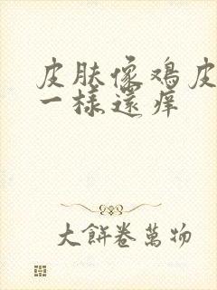 皮肤像鸡皮疙瘩一样还痒