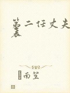 第二任丈夫演员表封面