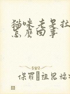 猫咪老是拉稀是怎么回事