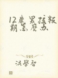 12岁男孩叛逆期怎么办封面