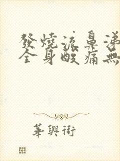 发烧流鼻涕头痛全身酸痛无力怕冷