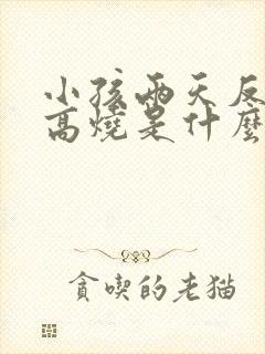 小孩两天反复发高烧是什么原因封面