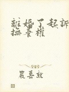 离婚了起诉孩子抚养权