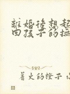 离婚后想起诉要回孩子的抚养权