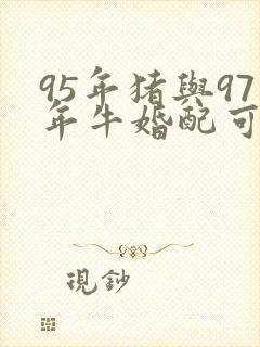 95年猪与97年牛婚配可以吗