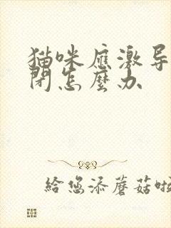 猫咪应激导致尿闭怎么办