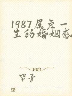 1987属兔一生的婚姻感情
