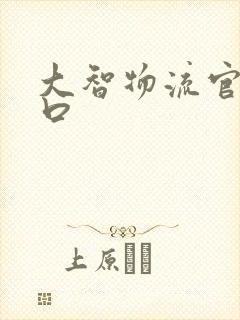 大智物流官网入口