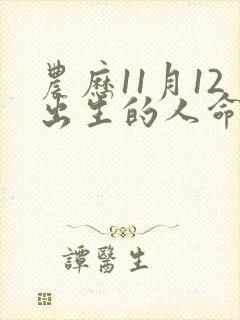 农历11月12出生的人命运