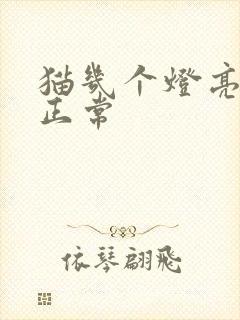 猫几个灯亮网络正常