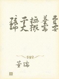 孩子抚养费请律师大概需要多少钱