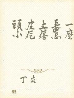 头皮上长一小片小疙瘩怎么回事