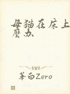 母猫在床上尿怎么办