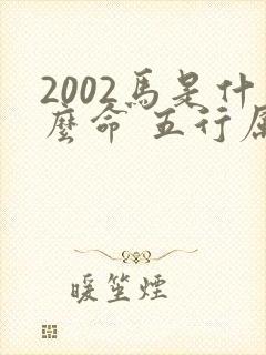 2002马是什么命 五行属什么封面