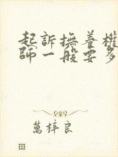 起诉抚养权请律师一般要多少钱