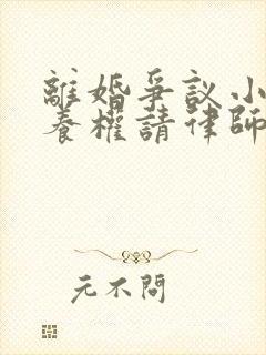 离婚争议小孩抚养权请律师要多少钱