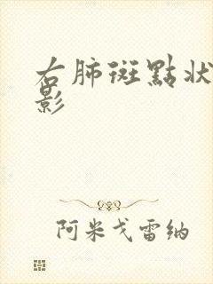 右肺斑点状结节影封面