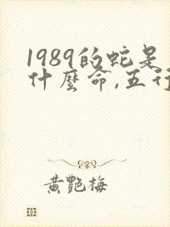 1989的蛇是什么命,五行属性