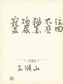 宠物猫不往猫砂盆尿怎么回事