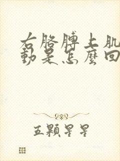 右胳膊上肌肉跳动是怎么回事封面